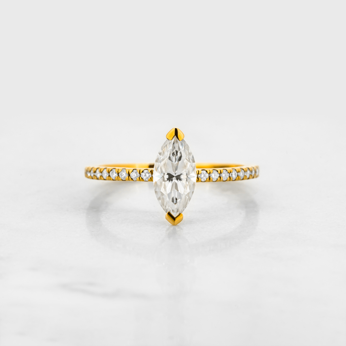 L'Amour Marquise